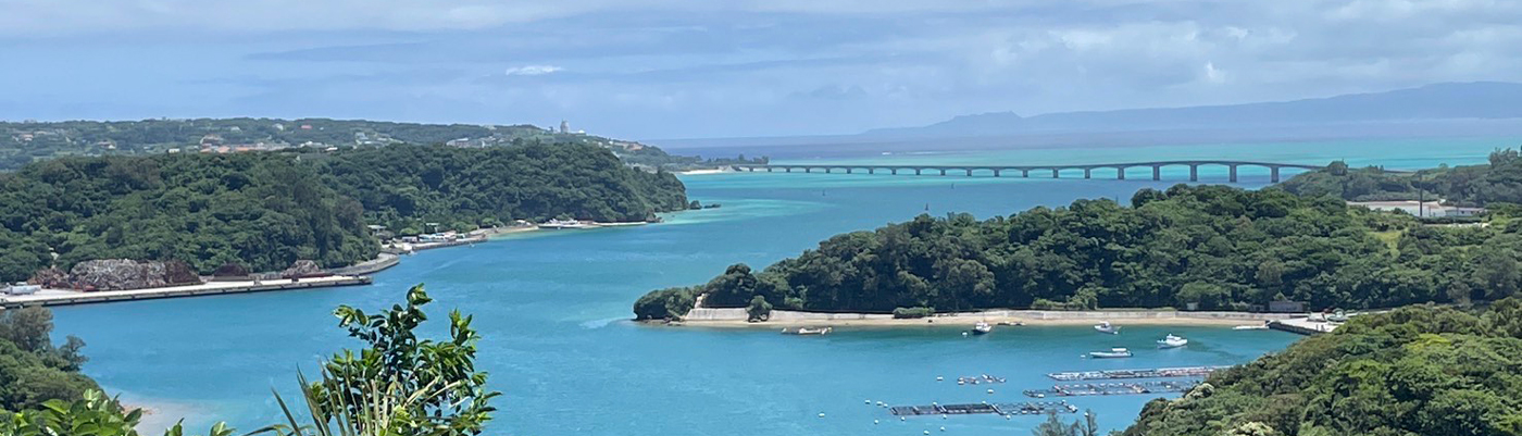 mv image
